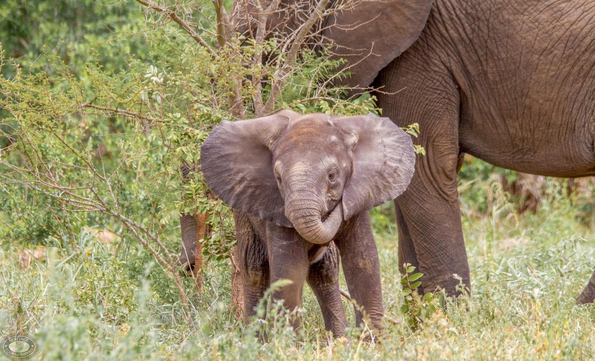 Апартаменти Little Eden Сент-Люсія Екстер'єр фото